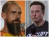 Predictions Soar as Mark Zuckerberg and Elon Musk Gear Up for Cage Fight